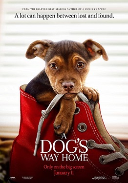 فيلم A Dog’s Way Home 2019 مترجم